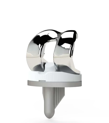 Total Knee Prosthesis P/S