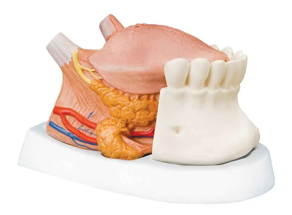 Medical Solution 0442