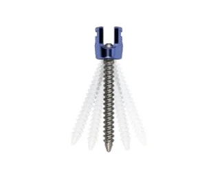 Polyaxial Screw Small